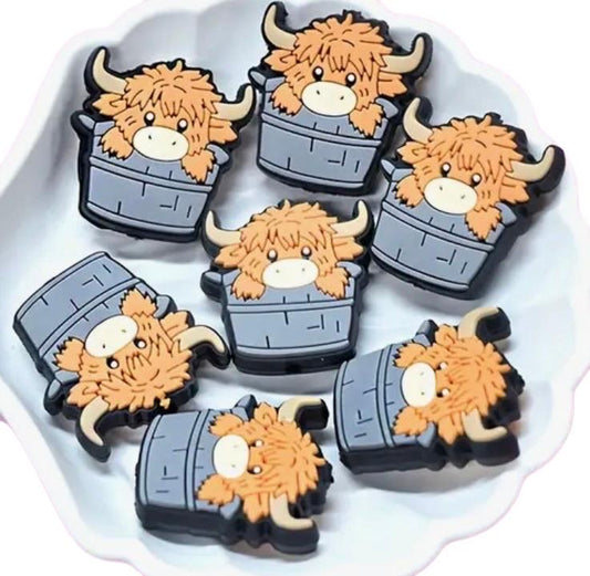 Highland Cow in a Bucket